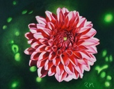 12-dahlie.jpg