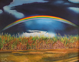 australian-rainbow.jpg